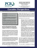 Executive Perspectives Newsletter